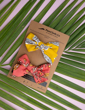 Load image into Gallery viewer, Sunshine &amp; Coral Knot Bow | Set of Two
