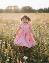 Load image into Gallery viewer, Blush Check Belle| Pink Check Wrap Dress
